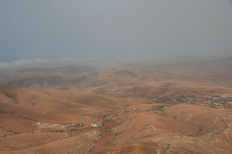 Kanary_2010 174